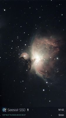 M42