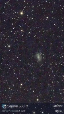 NGC925