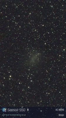 IC4895