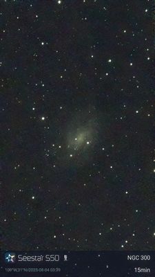 NGC300