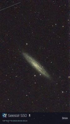 NGC253