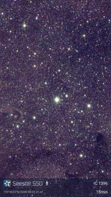IC1396