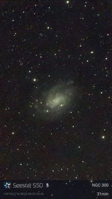 NGC300