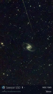 NGC1365