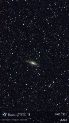 NGC7331 - 2025.08.24 - Supernova