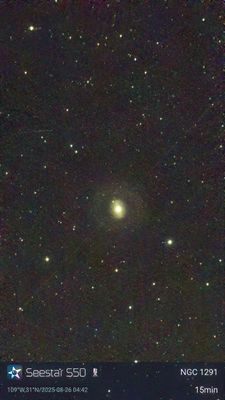 NGC1291