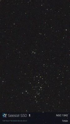 NGC1342
