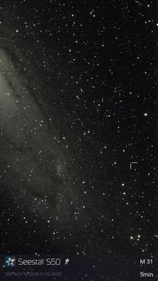 NOVAE and SUPERNOVAE