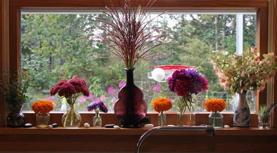 autumn windowsill