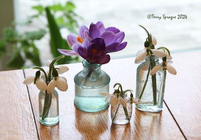 table flowers