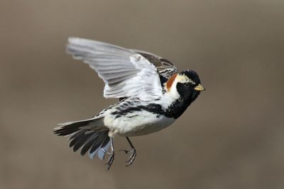 New Nature Photos