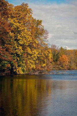 Autumn Scenes Along Chalfont Road #2 of 5