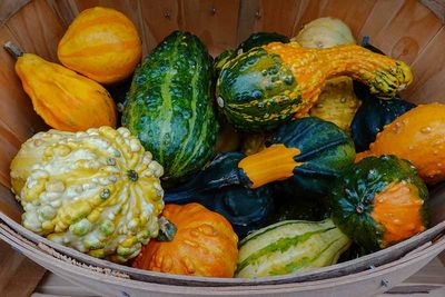 A Bucket of Gourds