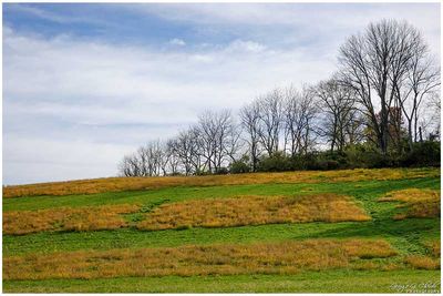 Autumn Hillside