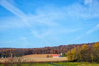 A November Farmland Vista
