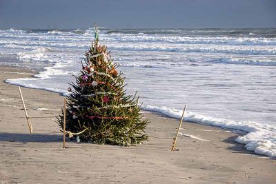 Memorial Beach Christmas Tree