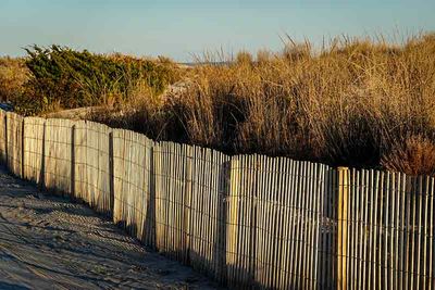 Warm Tones on the Dune Fencing