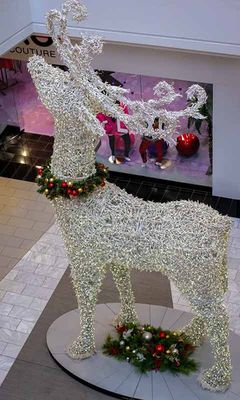 Reindeer Running Wild at King of Prussia Mall! #1 of 2