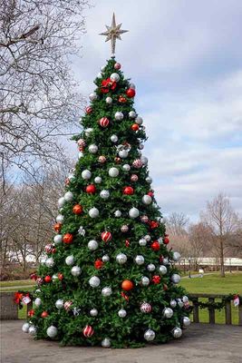 Downingtown Borough Christmas Tree