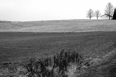 The Stark January Landscape