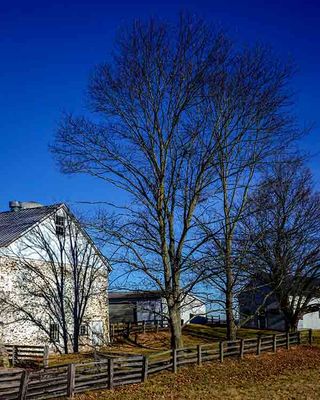 Barn Shadows