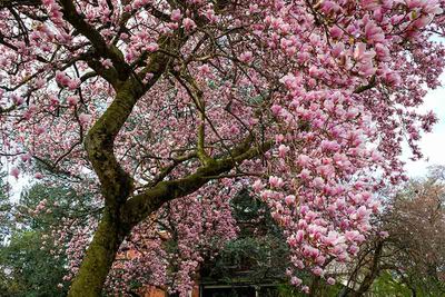 DSCF8119-ps.jpg