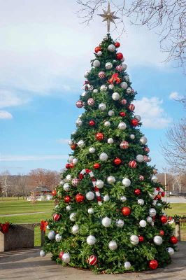 Downingtown's Christmas Tree