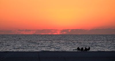 Florida Sunsets 2024