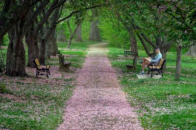 Spring in Everhart Park #1 of 5