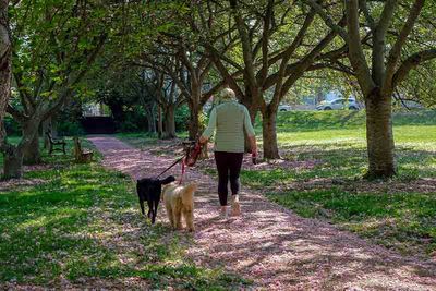 Spring in Everhart Park #5 of 5