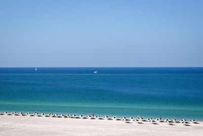 DSC02376-ps.jpg