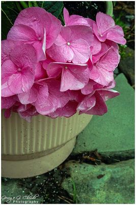 DSC03157-ps.jpg