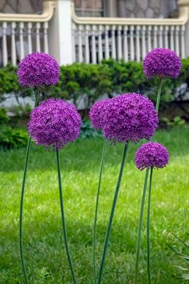 DSCF9379-ps.jpg