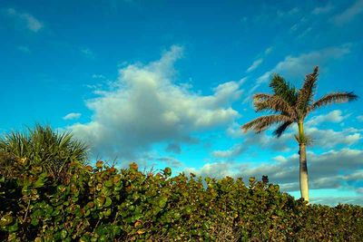 DSCF2034-ps.jpg