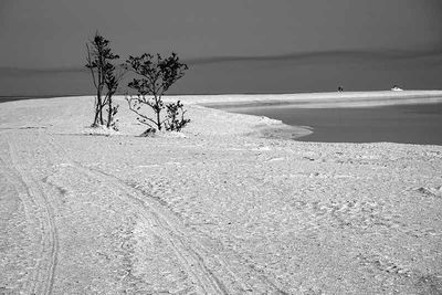 DSC02559-BW.jpg
