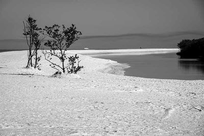 DSC02561-BW.jpg