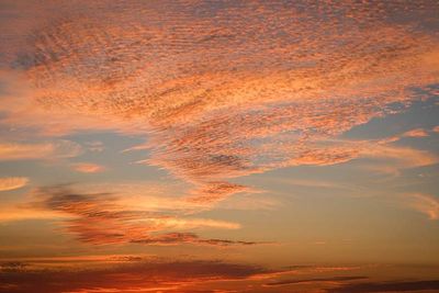 DSCF2055-ps.jpg