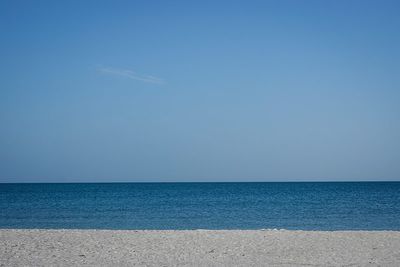 DSC02663-ps.jpg