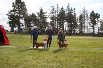 Dogshow - Hvalpsund 12.04.2025