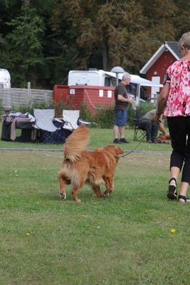 g13/98/544198/3/175751107.3541df5a.JPEG