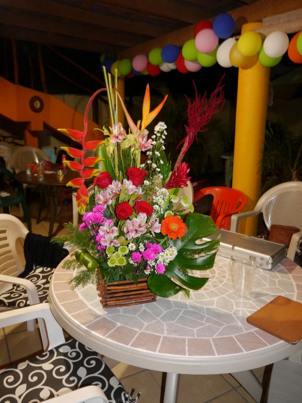 P1000229.JPG