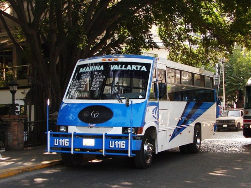 75100853.jpg