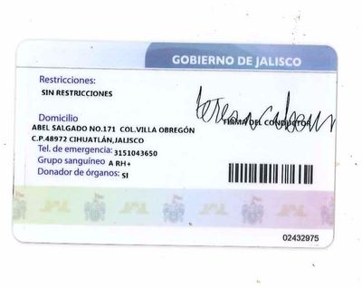 Terry Jalisco Drivers License (1).jpg