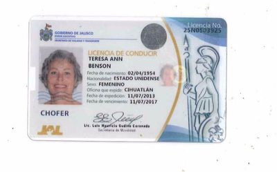 Terry Jalisco Drivers License (2).jpg