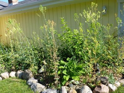 P1000791.JPG