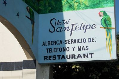 91456150.jpg