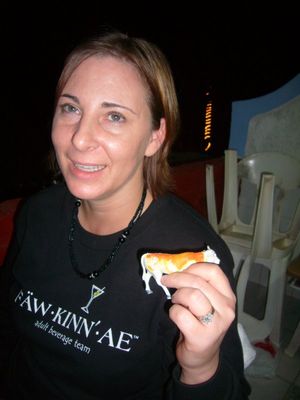 91464232.jpg