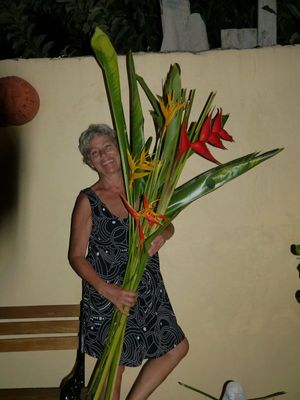 P1000219.JPG