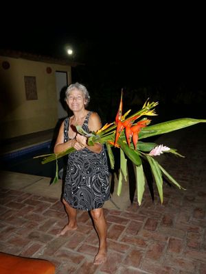 P1000223-edited.JPG