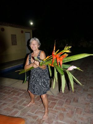 P1000223.JPG